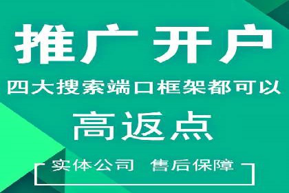 SEM代理案例：从零到一，见证品牌崛起